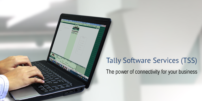 Tally Software Price in Qatar